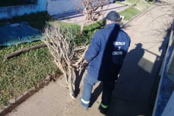 Especificaciones del programa 105