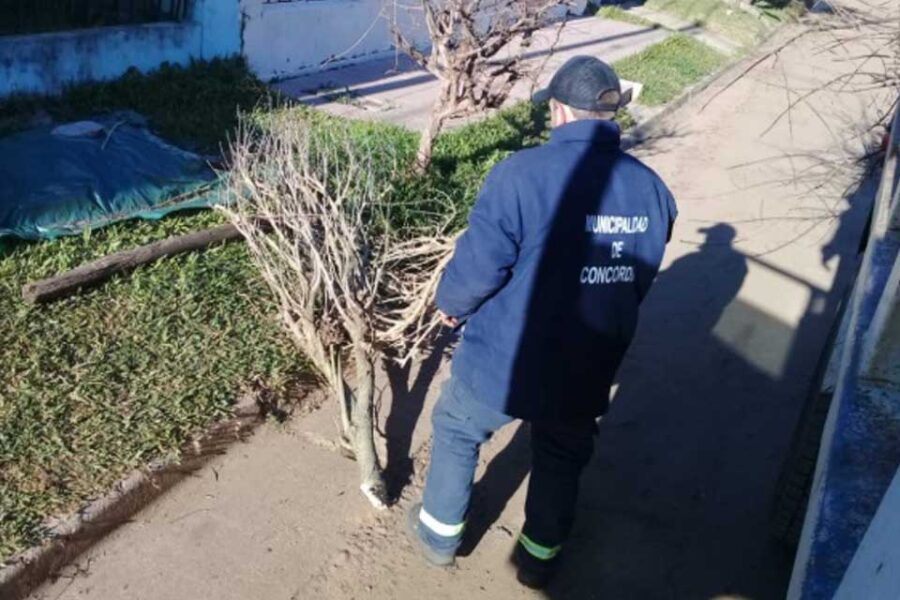 Especificaciones del programa 105