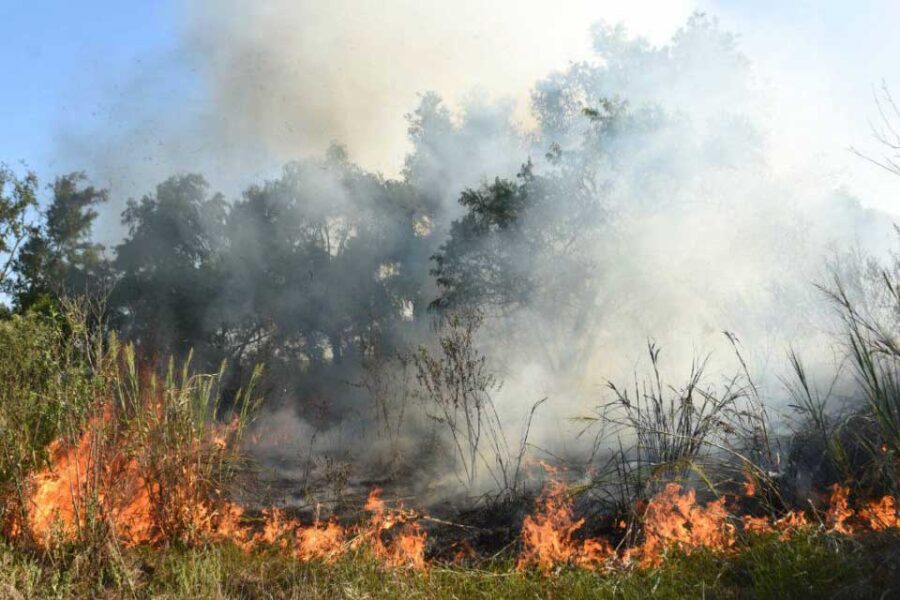 Ya van más de 400 mil hectáreas incendiadas desde que comenzó el año (Entre Ríos, la provincia más afectada)