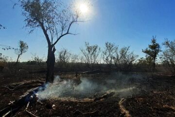 Incendios en el Delta: piden un debate serio y que no se acuse a los productores sin pruebas (comunicado de entidad entrerriana)