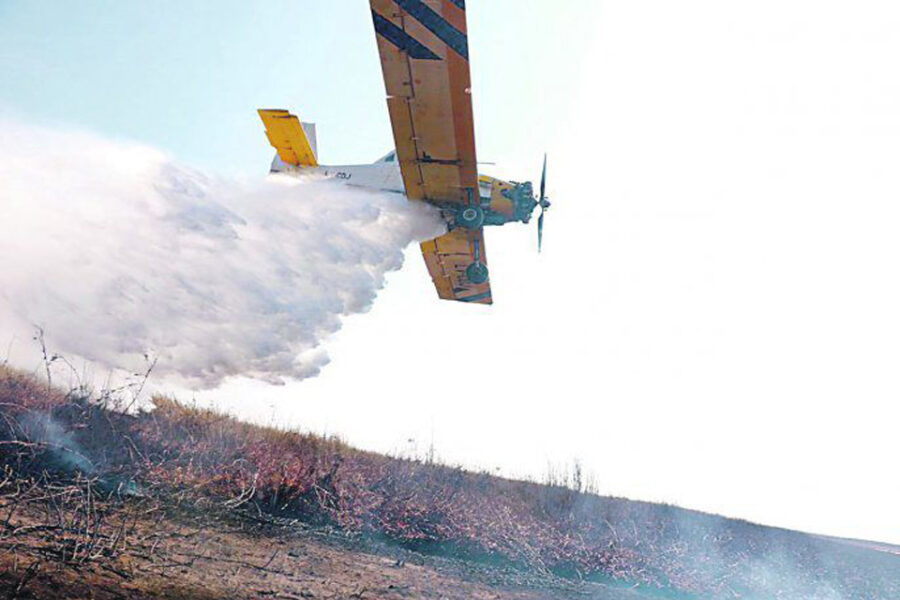 Ley de humedales: arranca debate en Congreso en medio de quemas intencionales (Entre Ríos involucrada)