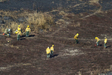 Incendios en las islas: 50 personas por día piden atención por dificultades para respirar (concejales rosarinos en orilla entrerriana)