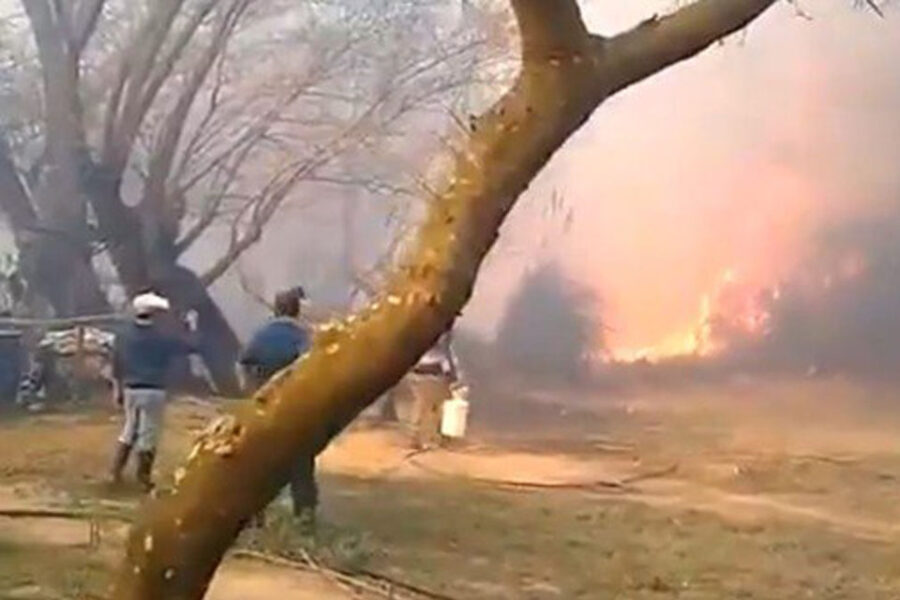 Incendios en el Paraná: habitantes de las islas combaten las llamas a metros de sus casas (quema en Entre Ríos)