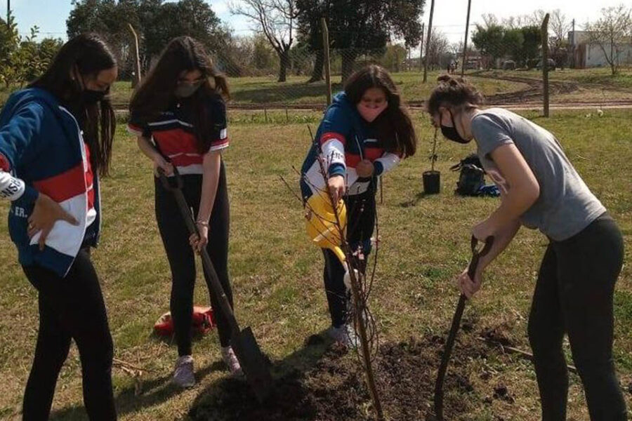 Jornada de Plantación de Árboles