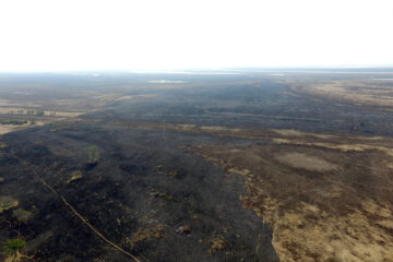 Entre Ríos concentra casi el 40% de la tierra incendiada del país