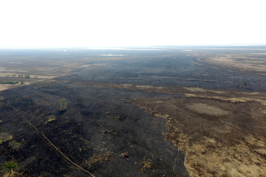 Entre Ríos concentra casi el 40% de la tierra incendiada del país