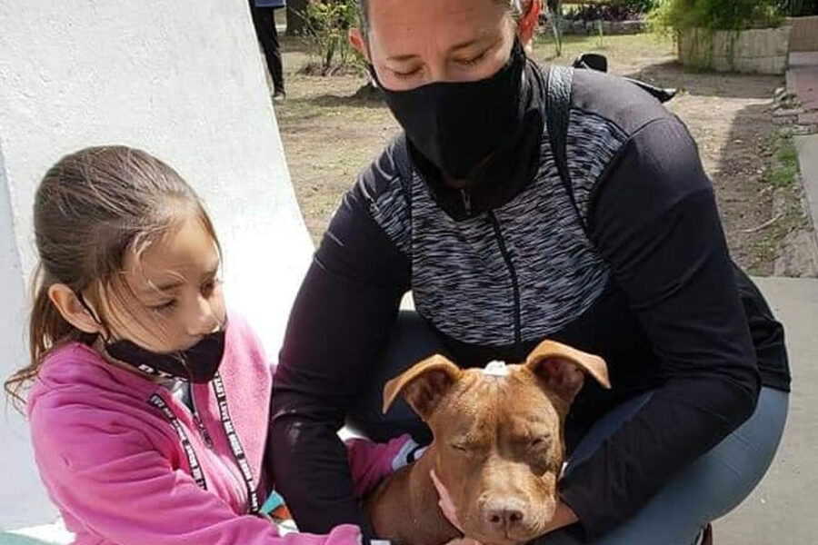 Operativo de Castraciones