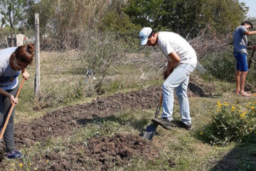 Programa de Cuidadores de la Casa Común