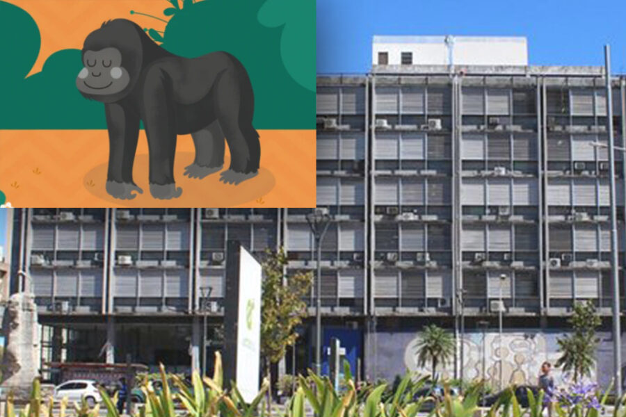 Escándalo por el cuento “El gorila gorilón” del CGE