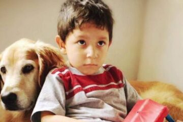 Campaña para evitar el uso de pirotecnia