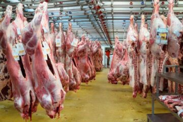 Cuáles son y cuál es precio de los cortes de carne para Fiestas (bocas de expendio en Entre Ríos)