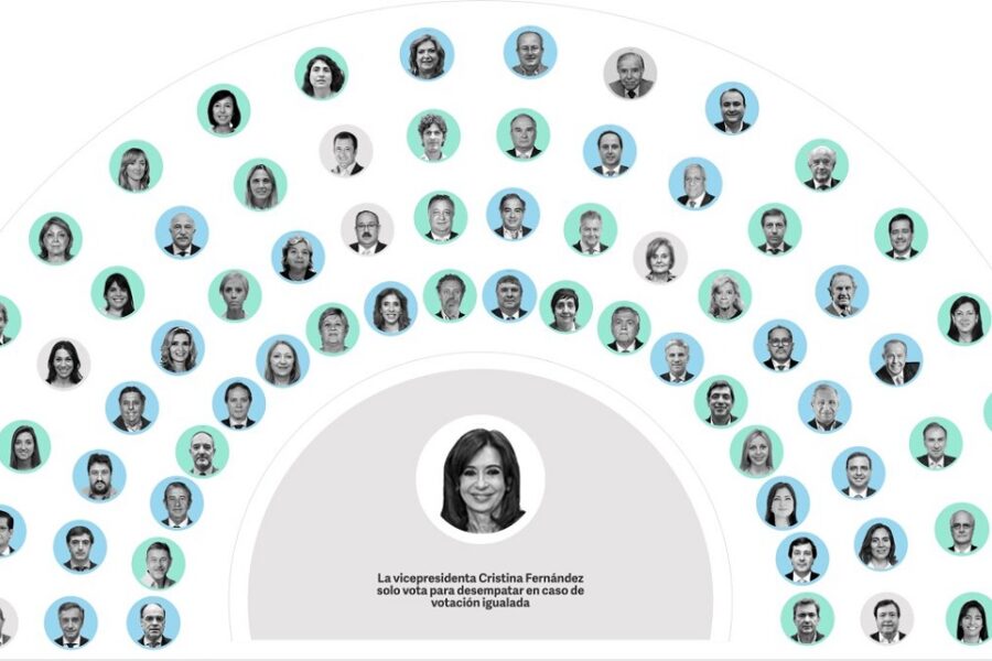 Aborto Legal: Así está el poroteo de votos en el Senado (dos entrerrianos entre los indecisos)