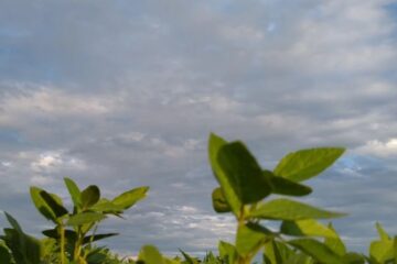 Las lluvias mejoran el escenario productivo en una Niña muy activa: ¿hasta cuándo siguen? (tormentas en Entre Ríos)