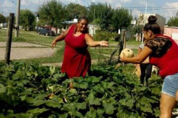 Jóvenes producen una huerta colectiva y se incorporan al circuito de la economía social