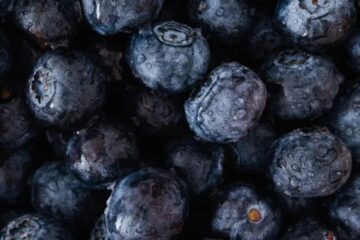 Cancillería logró destrabar conflicto con arándanos argentinos en Estados Unidos (producción entrerriana)