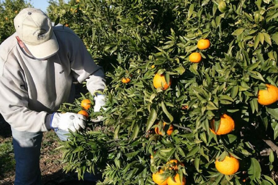 Programa Interzafra 2021: Consultas ‘on line’ para beneficiarios