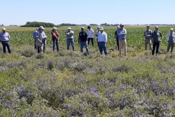 Crece la adopción de los cultivos de cobertura y el análisis de suelos (campos entrerrianos)