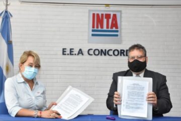 Impulsan el desarrollo de las economías regionales