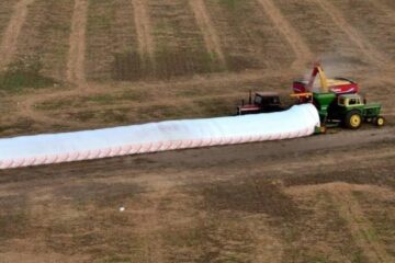 Consejos para el correcto almacenamiento de la cosecha en los silobolsas (explicación de un entrerriano)