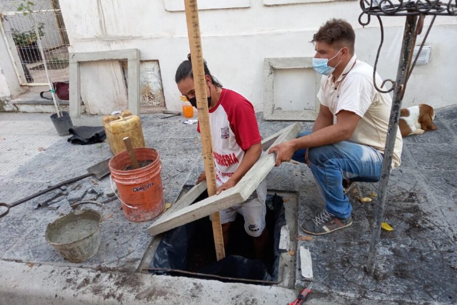 Dieron inicio al Plan de arbolado urbano