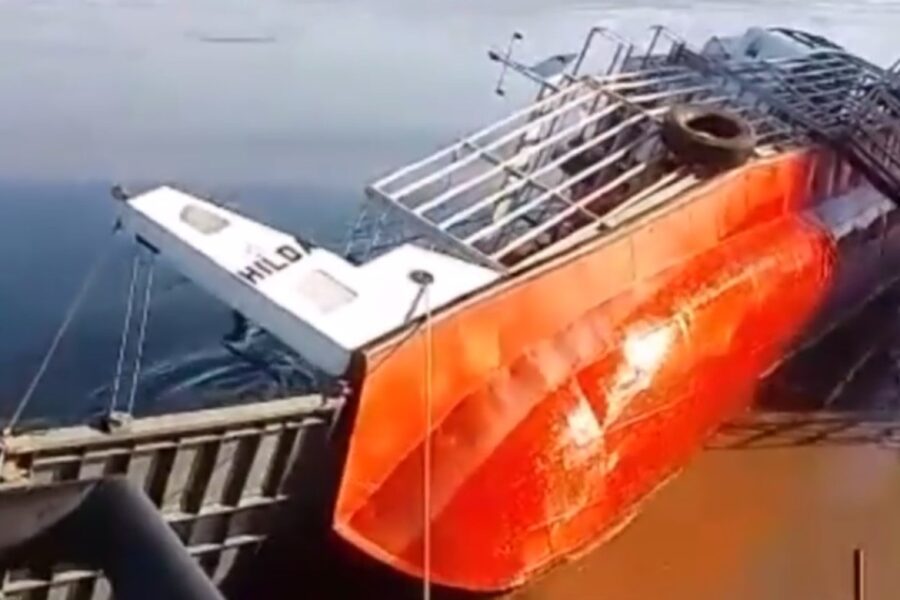 Video: se hundió un barco ganadero que llevaba 68 animales de exportación (accidente en Entre Ríos)