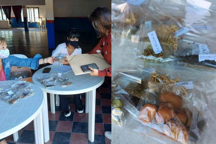 Comenzó la entrega de semillas del Programa Pro Huerta