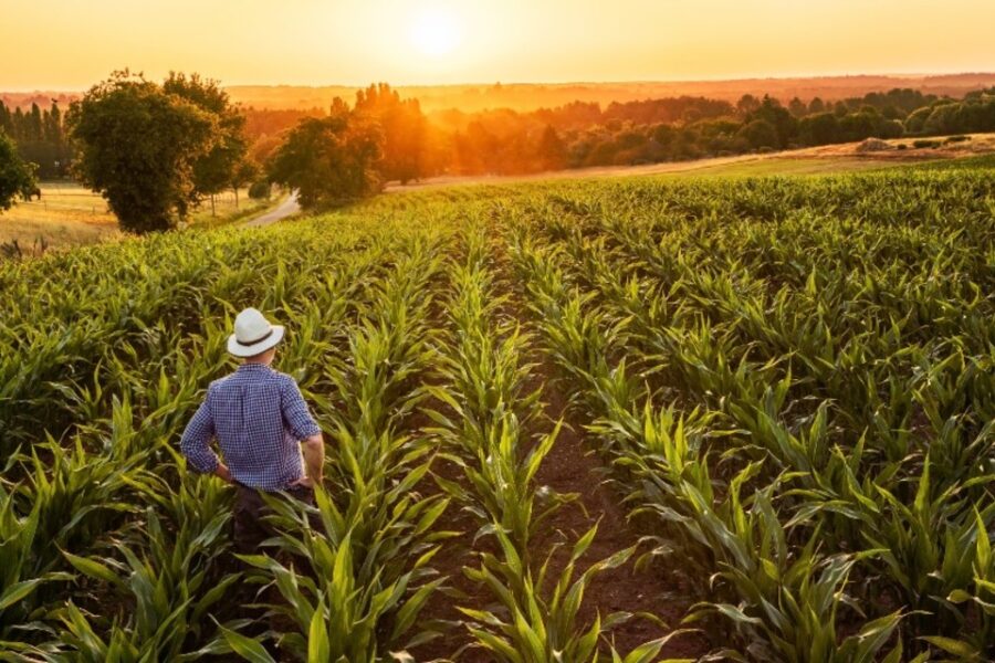 Este fue un sector que le dio ganancias a las pymes: qué fue lo que hicieron bien (mención a entidad entrerriana)