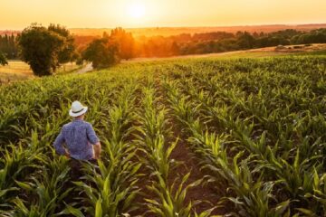 Este fue un sector que le dio ganancias a las pymes: qué fue lo que hicieron bien (mención a Entre Ríos)