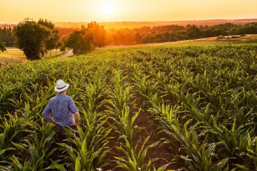 Este fue un sector que le dio ganancias a las pymes: qué fue lo que hicieron bien (mención a Entre Ríos)