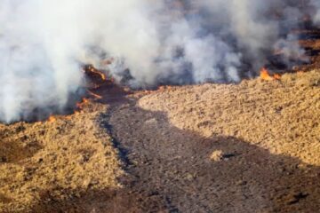 Volvió el olor a humo por los incendios en el Paraná (mención a humedales de Entre Ríos)