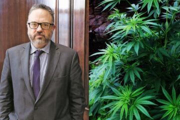 El Gobierno le puso fecha a un proyecto para la industria del cannabis medicinal (mención a legisladora entrerriana)