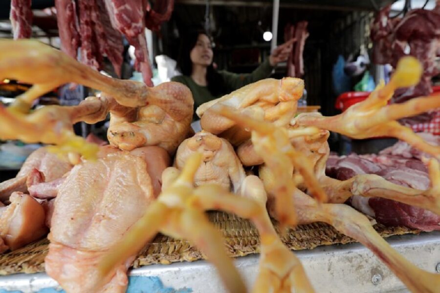 China: Alerta por caso de gripe aviar H10N3 en humanos