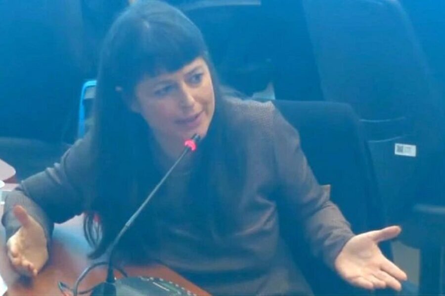 Gaillard cuestionó a la oposición por frenar la Ley de Emergencia Covid