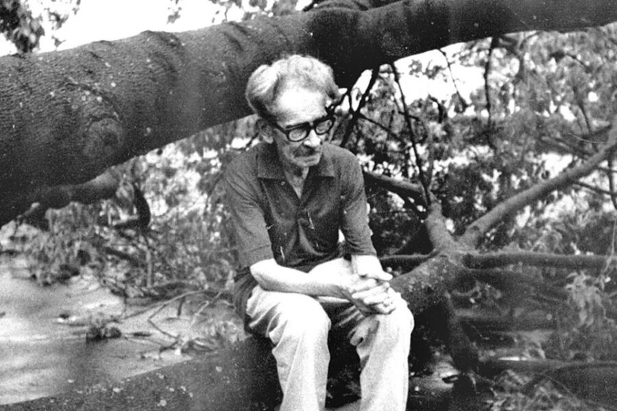 Una nueva vida para Juanele (relatos de Juan L. Ortíz)