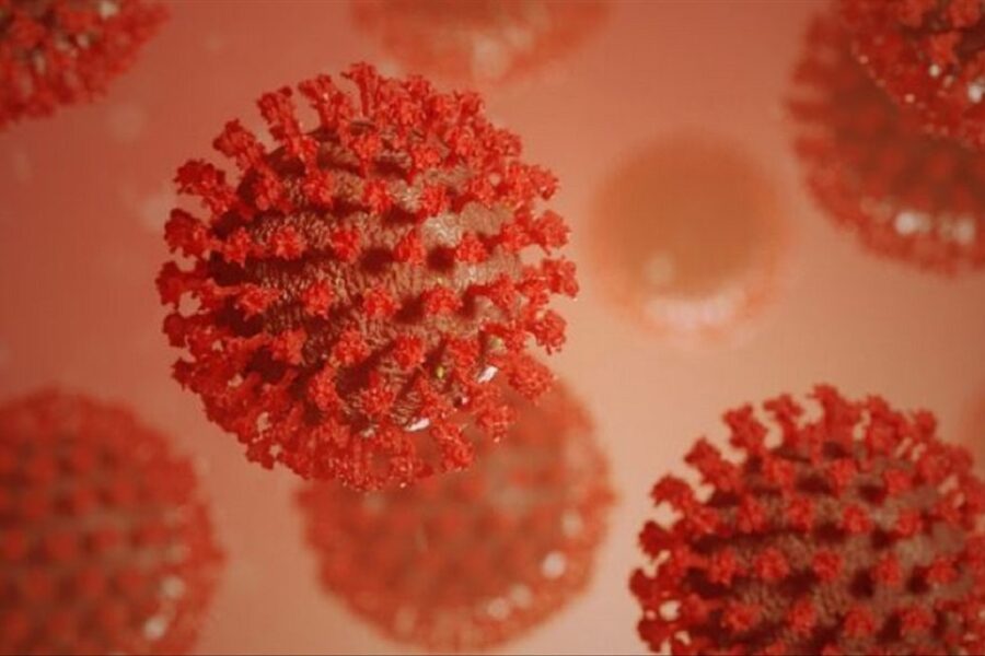 ¿Qué hará Entre Ríos para postergar el avance de la Delta?