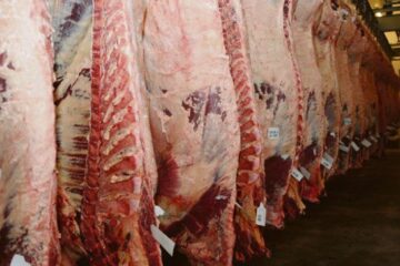 Carne: el campo espera en alerta los anuncios del Gobierno (citan a dirigente entrerriano)