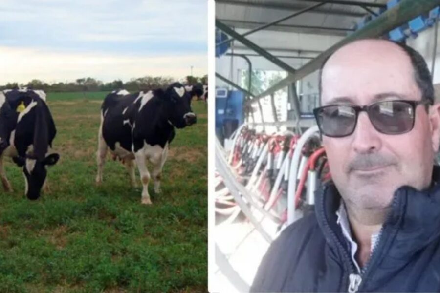 Quieren vender leche sin intermediarios