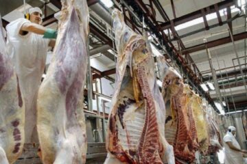 Carne: la Sociedad Rural amenaza con una medida de fuerza en rechazo a la apertura parcial (mención a dirigente entrerriano)