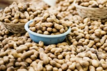 Cuáles son los productos regionales que dejan de pagar retenciones (mención a Entre Ríos)