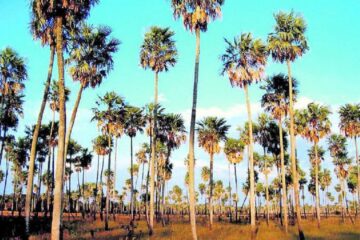 La provincia no prevé nuevas restricciones en las vacaciones