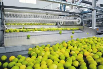 Extienden plazos para acceder a beneficios y facilidades de pago para el sector citrícola (incluye a Entre Ríos)