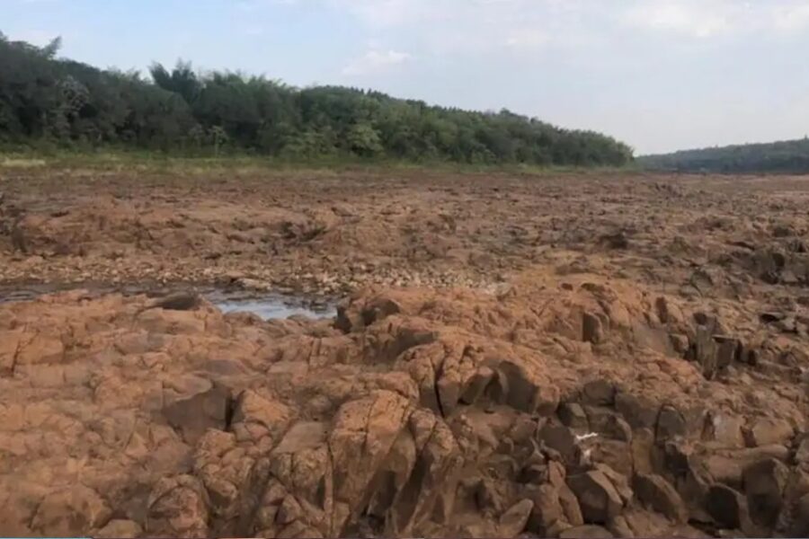 Impactante video: por la bajante del Río Paraná, cruzan caminando de Argentina a Paraguay
