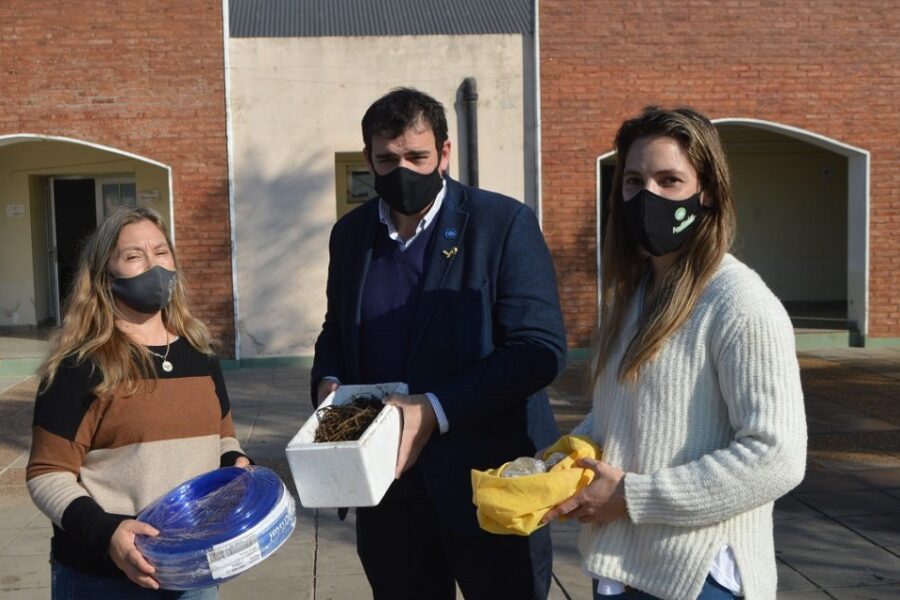Educación ambiental en las escuelas