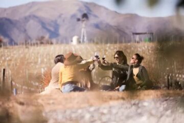 La nueva ruta del vino en Córdoba: 4 historias de bodegas familiares y pioneras en la provincia (mención a Entre Ríos)