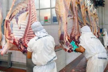 Reabren las exportaciones de carne a China