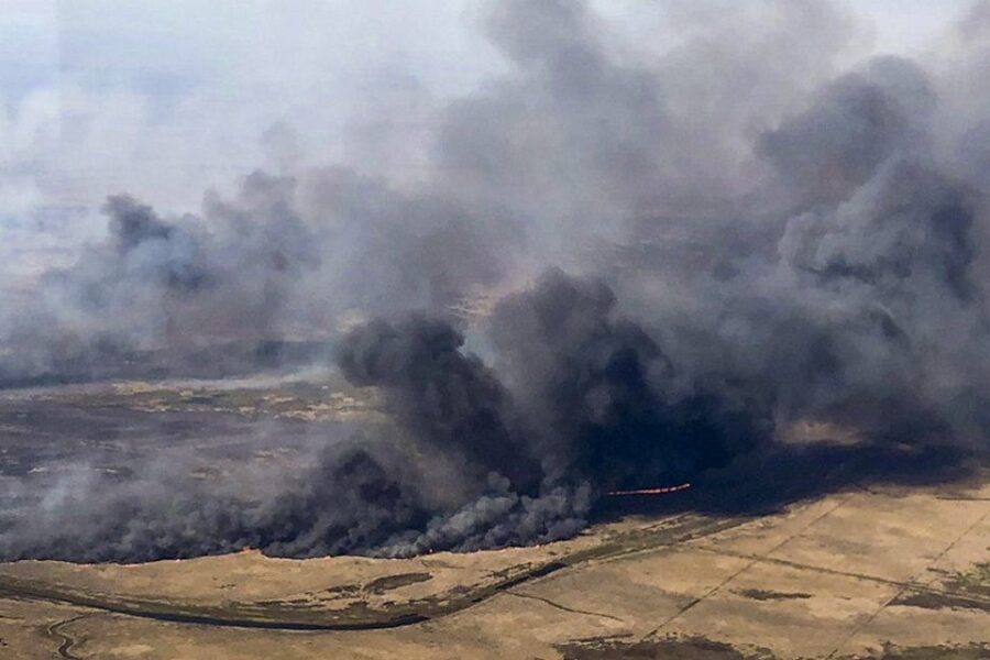 Delta del Paraná: brigadistas combaten incendios forestales