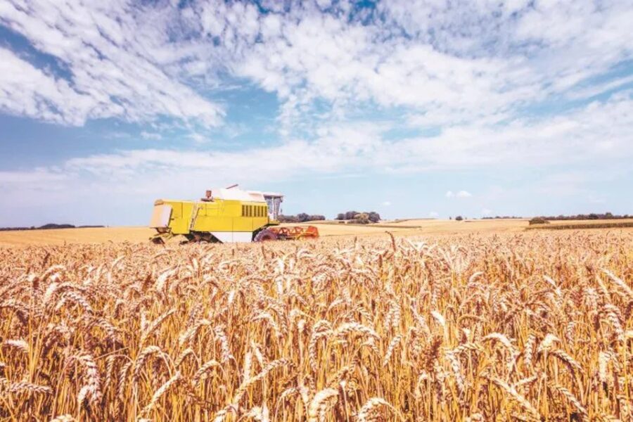 Positivo: las lluvias traen más trigo (mención a Entre Ríos)