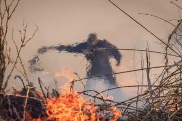 Ambientalistas acusan a Entre Ríos por “complicidad” en los incendios de los humedales