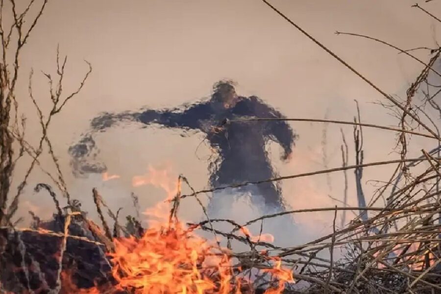 Ambientalistas acusan a Entre Ríos por “complicidad” en los incendios de los humedales