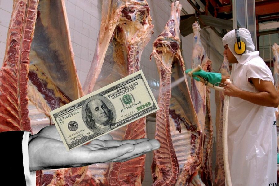 Cepo a la carne: cómo es el plan del Gobierno para sumar u$s 27 millones y vigilar los precios (mención a Bordet)